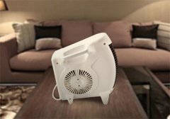 自豪泰党在国会下议院选